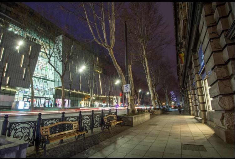Rustaveli Apartment City Centre Tbilisi Esterno foto